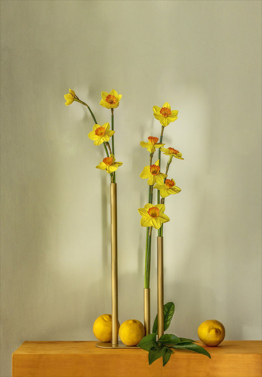 Fine art photographic print by Charles McKean, archival pigment print, limited edition wall art produced by LAB-P.