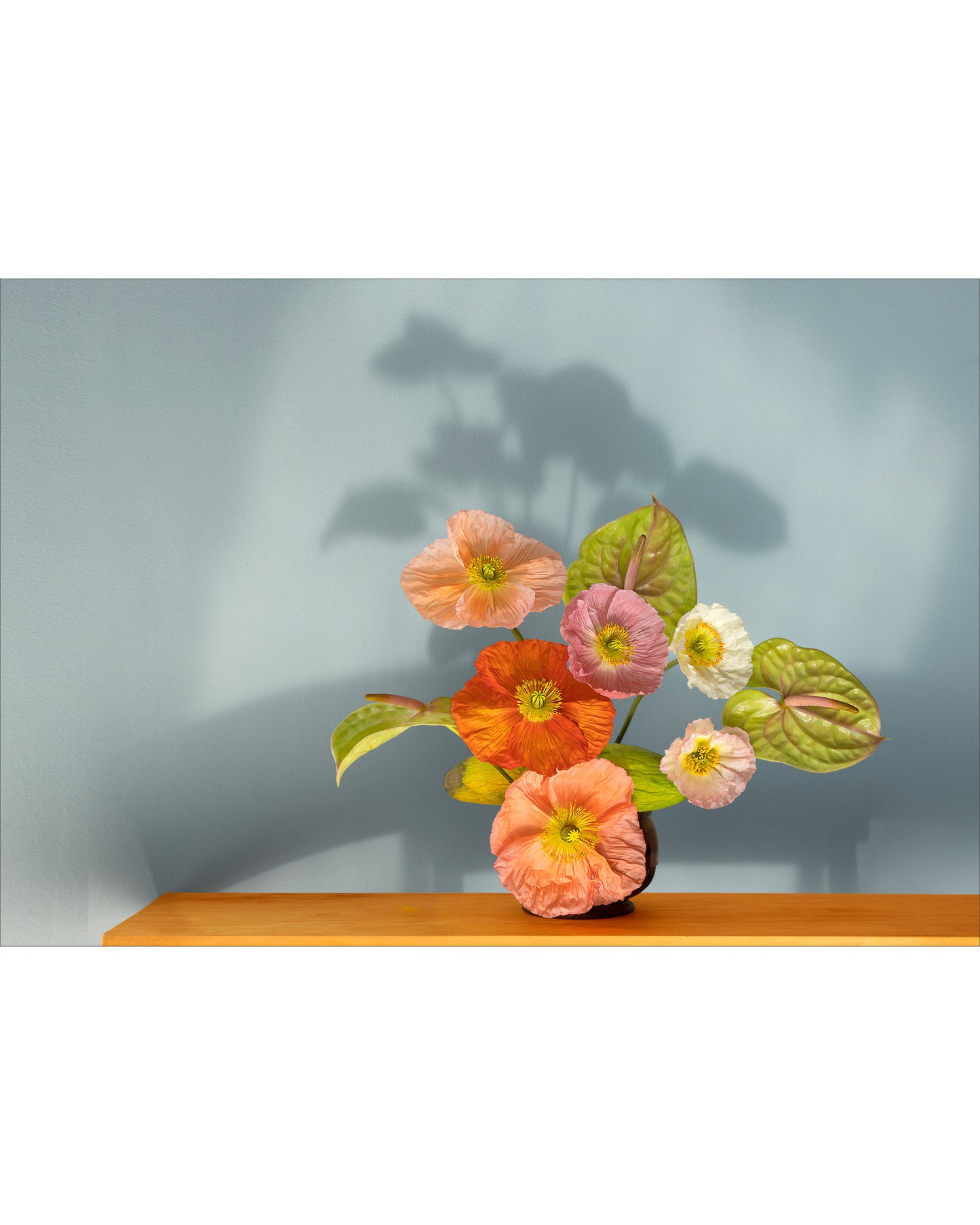 Fine art photographic print by Charles McKean, archival pigment print, limited edition wall art produced by LAB-P.