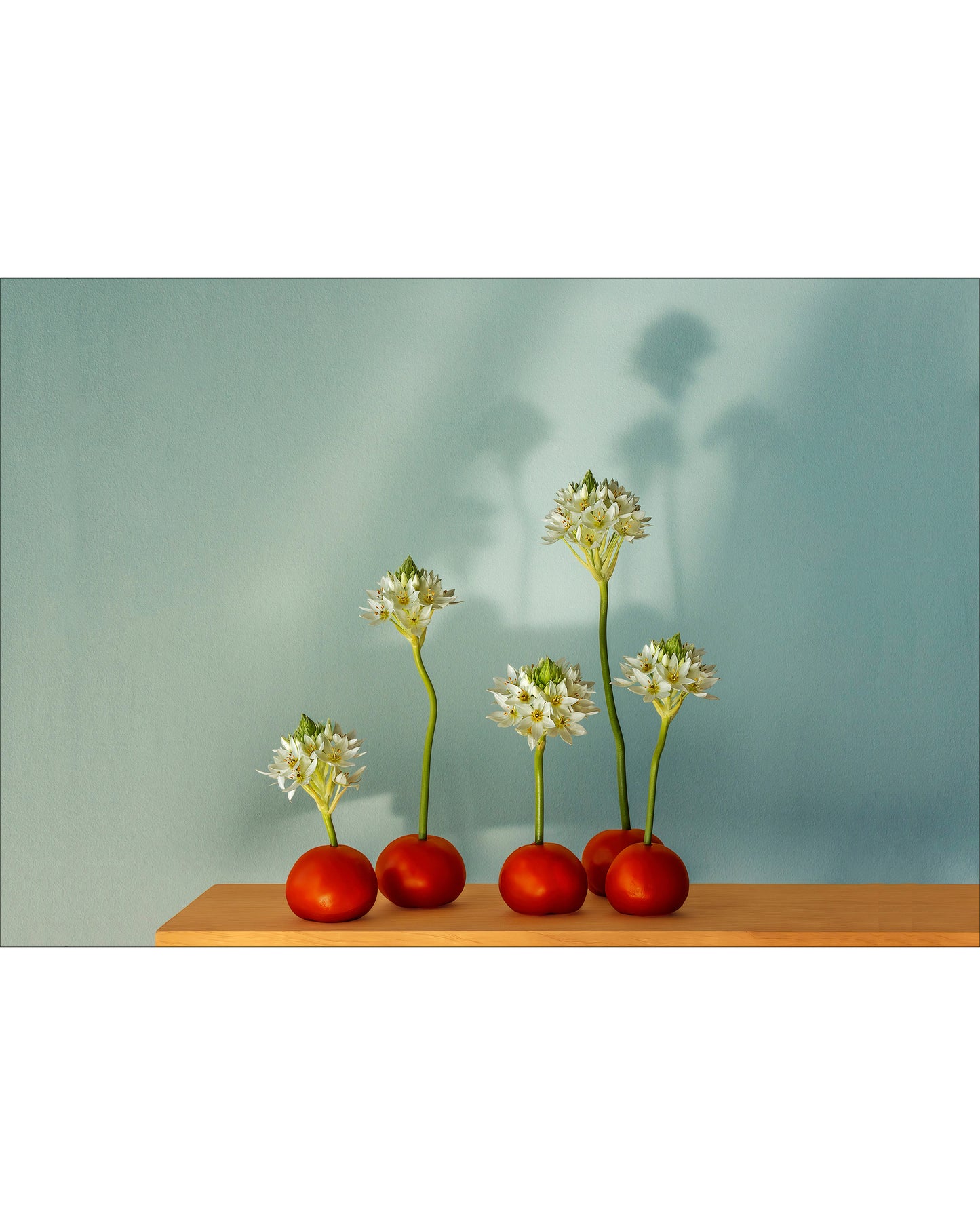 Fine art photographic print by Charles McKean, archival pigment print, limited edition wall art produced by LAB-P.