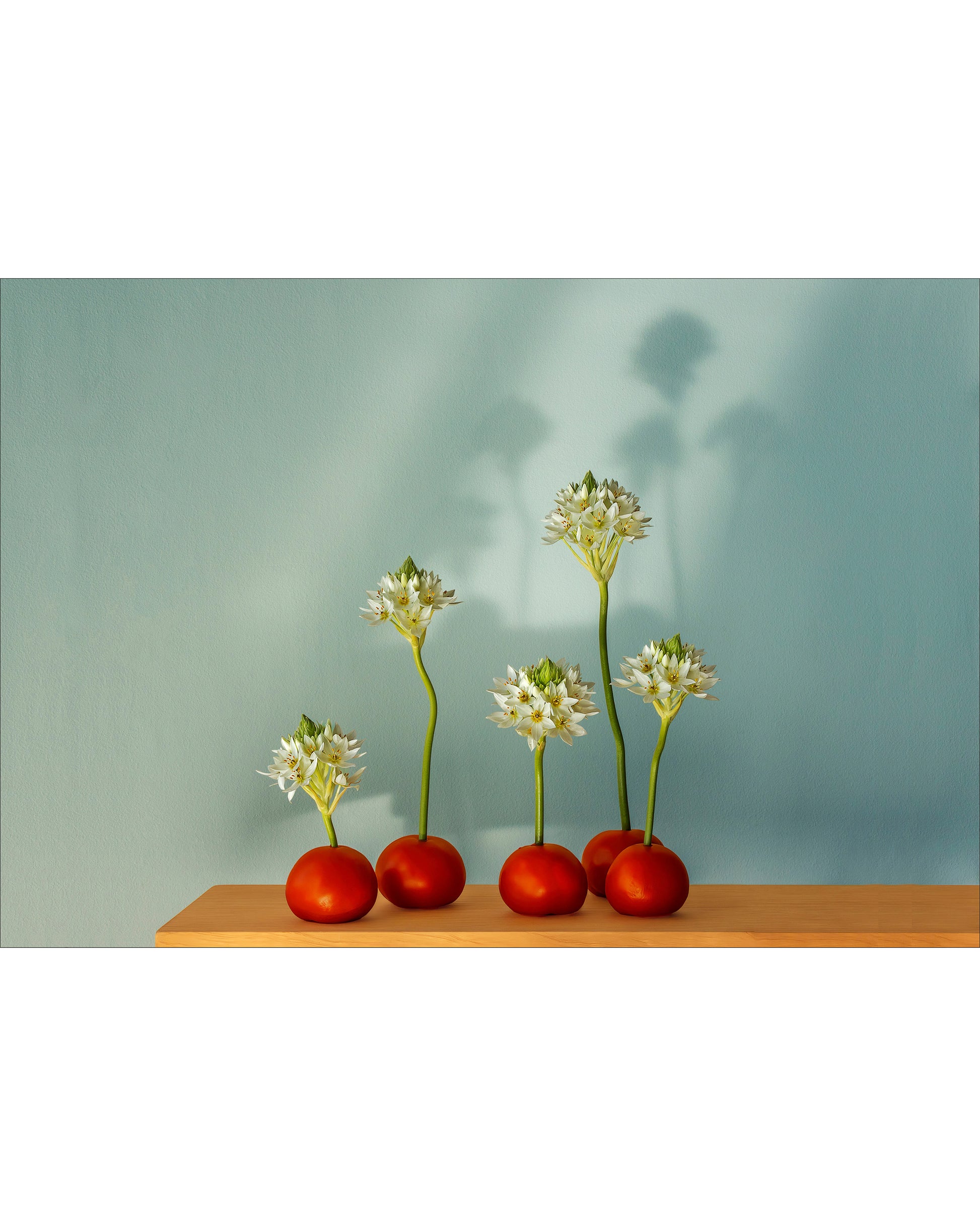 Fine art photographic print by Charles McKean, archival pigment print, limited edition wall art produced by LAB-P.