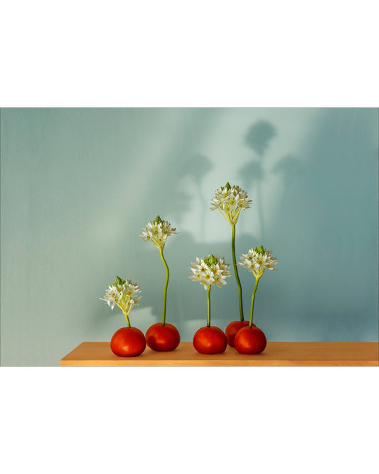 Fine art photographic print by Charles McKean, archival pigment print, limited edition wall art produced by LAB-P.