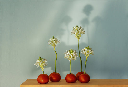 Fine art photographic print by Charles McKean, archival pigment print, limited edition wall art produced by LAB-P.