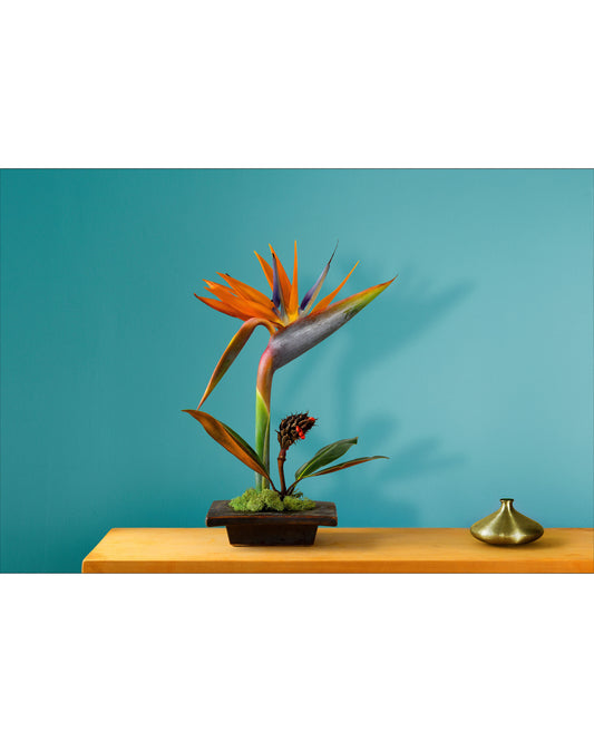 Fine art photographic print by Charles McKean, archival pigment print, limited edition wall art produced by LAB-P.