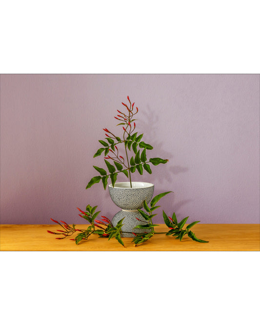 Fine art photographic print by Charles McKean, archival pigment print, limited edition wall art produced by LAB-P.