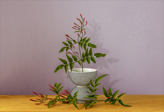 Fine art photographic print by Charles McKean, archival pigment print, limited edition wall art produced by LAB-P.